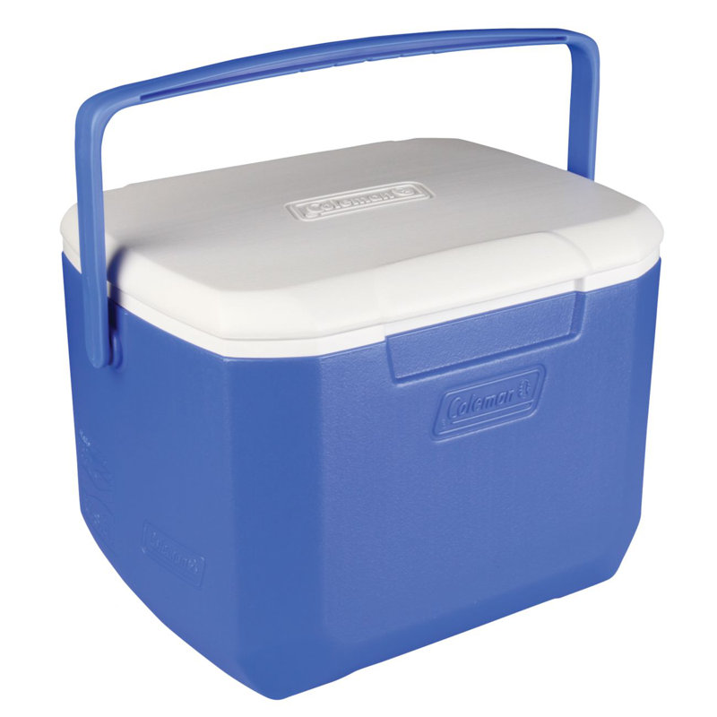 Coleman 16 Qt. Excursion Picnic Cooler & Reviews Wayfair